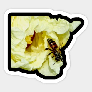 Yellow Flower & Insect Sticker